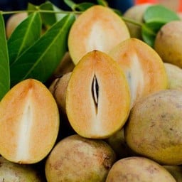 ละมุด หวาน หั่นพร้อมทาน [กล่องเล็ก]