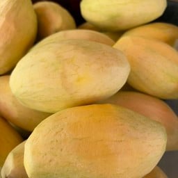 มะม่วงแก้วขมิ้น (อมเปรี้ยว)