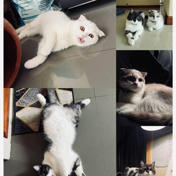 ทิปพนักงานที่ร้านค่ะ