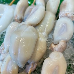 ไข่หมึกกระดอง