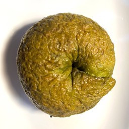 ขนมปังเบเกิล รสมัทฉะชาเขียวญี่ปุ่น