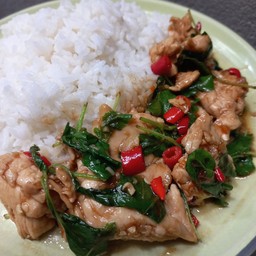 ข้าวกะเพราไก่