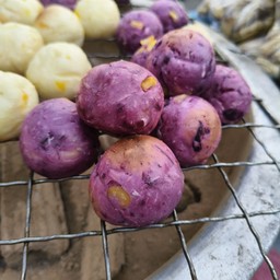 มันม่วงล้วน