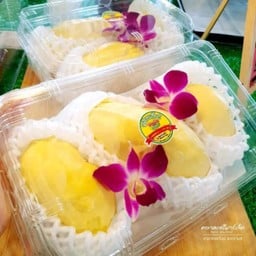 Frozenfood delivery & ทุเรียน เนื้อดี