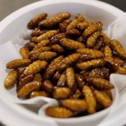 ดักแด้ทอด (Fried chrysalis)