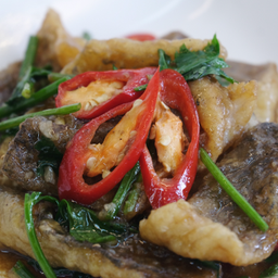 ปลากระพงผัดขึ้นฉ่าย