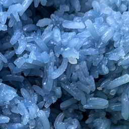 ข้าวเหนียว อัญชัน