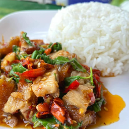 ข้าวกะเพราหมูกรอบ