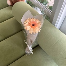 Single Gerbera mini bouquet