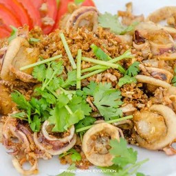 ปลาหมึกทอดกระเทียม(ราดข้าว)