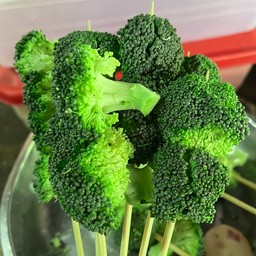 บล็อคโคลี่