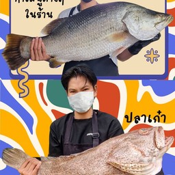 ขนาดปลาต่างๆทำเมนูในร้าน