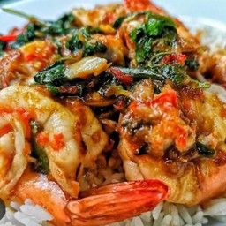 ข้าวกะเพรากุ้ง ราดข้าว