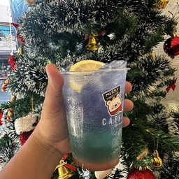 ลิ้นจี่ สกาย โซดา