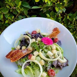 ซีซ่าสลัด