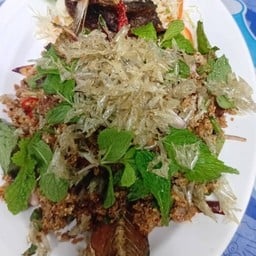เมาดีปป์ นาป่า ท้องคุ้ง