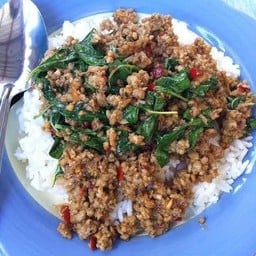 ข้าวกะเพราหมูสับ