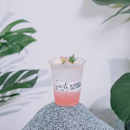 ลิ้นจี่โซดา