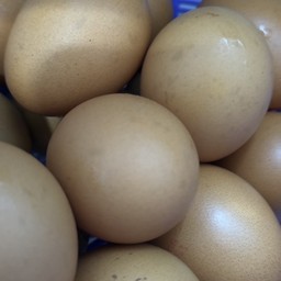 เมี่ยงกันม๊ะ