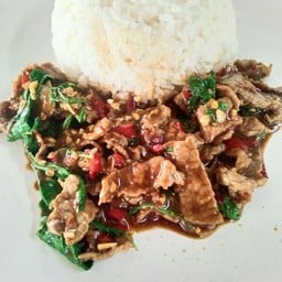 ใบกะเพรา กังสดาล