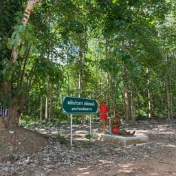 วัดวังรีคีรีวันวนาราม