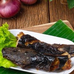 ปลาดุกย่าง