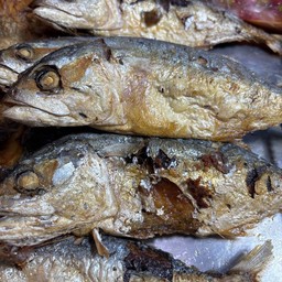 ปลาทูทอด