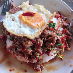 เพาเนื้อ50ไข่ดาว15