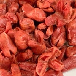 restaurantPhoto