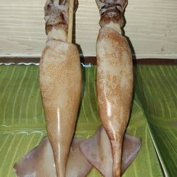 หมึกย่าง & ทะเลเผา หน้าร้าน 7-11 พุทธสาคร ( สวนหลวง )