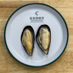 หอยแมลงภู่ 贻贝