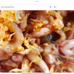 ผัดกระเทียมพริกไทยราดข้าว