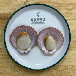 หอยเชลล์