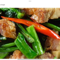 ผัดคะน้าราดข้าว