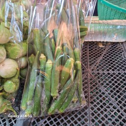 กะเจี๊ยบ