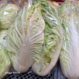 ผักกาดขาว