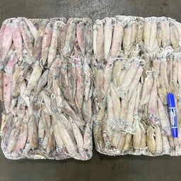 หมึกอเมริกา 25/30 บล็อกละ 12.5โล