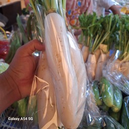 หัวไชเท้า