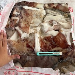 คอฟรีสเรือ500up ผ่า กระสอบ 20โล