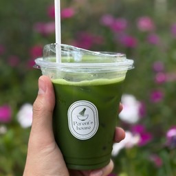 Classic Pure Matcha