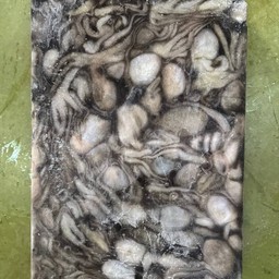 หมึกสายฟรีส 10/20ตัวโล บล็อก10โล