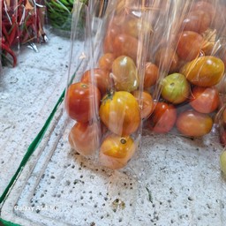 มะเขือเทศ