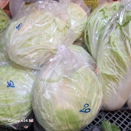 กะหล่ำปลี