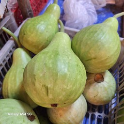 น้ำเต้า