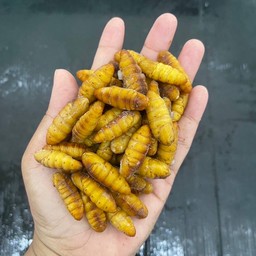 หนอนไหม หิ้วละ5โล