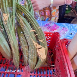 บวบเหลี่ยม