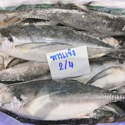 ปลาหางแข็ง 2/4ตัวโล ลังละ10โล