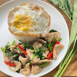 คะน้าน้ำมันหอย ราดข้าว