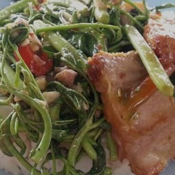 กระเฉดหมูกรอบราดข้าว