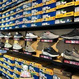 Sketchers